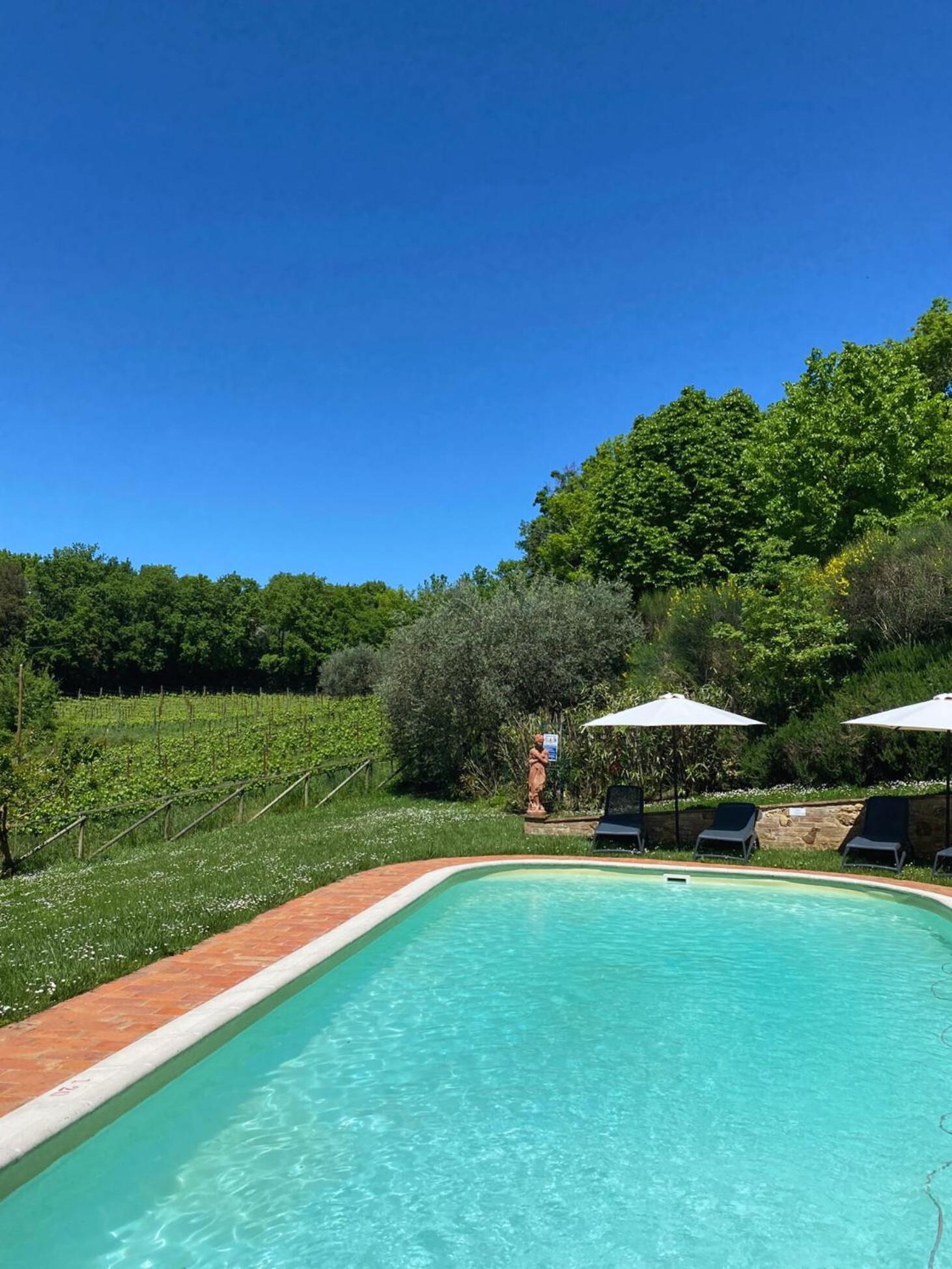 Montepulciano Stazione Agriturismo Borgo 7 Tigli - Apt 1 מראה חיצוני תמונה